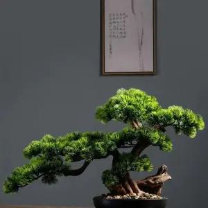 소나무 분재 미니 트리 반려 사무실 키우기 해송분재 장식