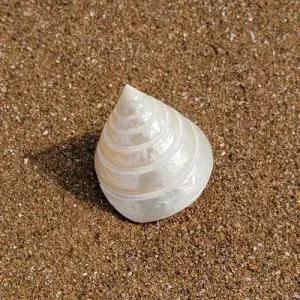 물고기탱크장식하기 베타 어항 꾸미기 바닥재 수족관 WFHJ7KK