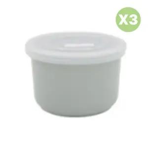 블루마마 유아 도시락 간편 찜 이유식 휴대용 250mlX3