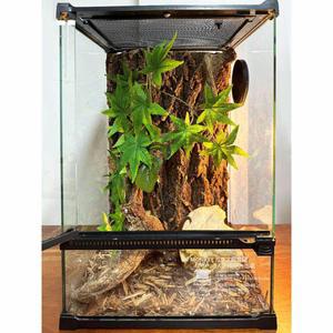 파충류 사육장 유리 육지 어메이징패드 양서류 케이스 소라게 도마뱀 테라리움 대형 거북