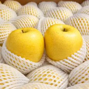 청송 얼음골 황금 시나노골드 사과 6.5KG 대과