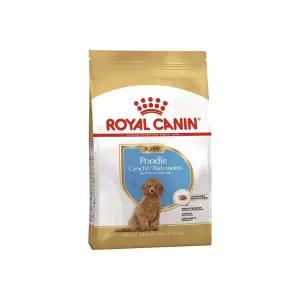로얄캐닌 푸들 퍼피 1.5kg 강아지사료 주니어 애견사료