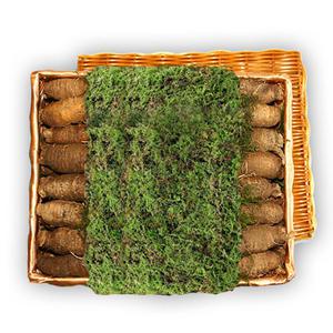 횡성더덕 선물세트(상2kg)