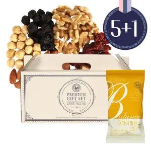 [산과들에][2/13(금)오전10시주문마감][산과들에][5+1]하루견과 원데이발란스골드 20입 설선물세트 (20g...