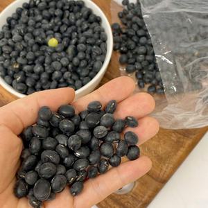 새바람 25년 햇 서리태 검은콩 1kg/2kg