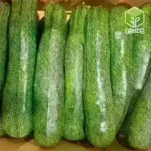 국내산 쥬키니 호박 상 10kg