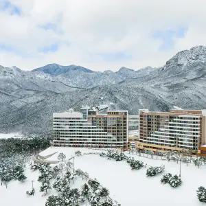 소노펠리체 델피노 or 소노펠리체 빌리지 델피노 조식 오션플레이 패키지 소노호텔앤리조트 고성 (설악) 룸온리