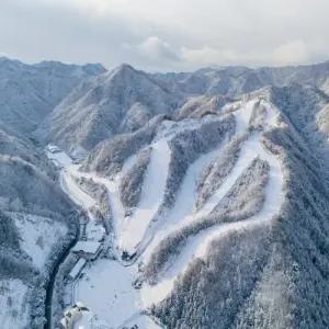 엘리시안 강촌 리조트