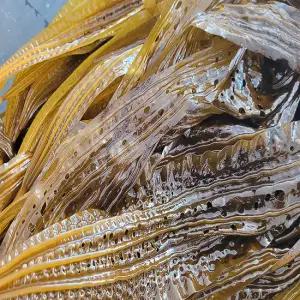 당일작업 식감좋은 생곰피 곰피미역 4kg