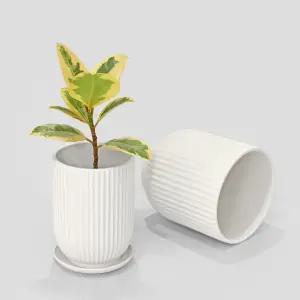 에일린 롱 세라믹화분 받침세트