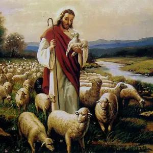 직소퍼즐 - 50피스 예수와 양