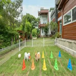 [경기/가평] 가평 아르노 애견동반 펜션 (보드게임/픽업가능/계곡인접/섬/수목원/휴양림/애견/애견운동장/공용수영장(실외)/바베큐장/일출/일몰/커플/가족/주차장/흡연구역(지정장소))