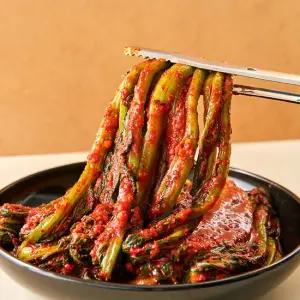 HACCP 인증 당일제조 국내산 전라도식 갓김치 열무김치 알타리김치 2kg