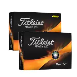 타이틀리스트 PRO V1/V1X/DASH 골프공/볼.1더즌(12구)