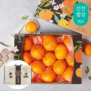 [품질보장] 제주 레드향 2.6kg 10-14과