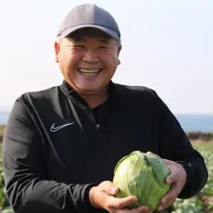 제주 미니 양배추 3kg