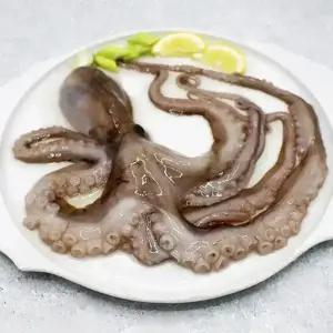 냉동 활낙지 850g (8미 100-150/6미 150-200/4미 200-300/3미 300-500)