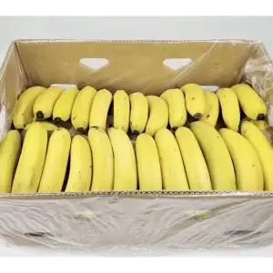 쥬스용 낱발 고당도 바나나 13kg