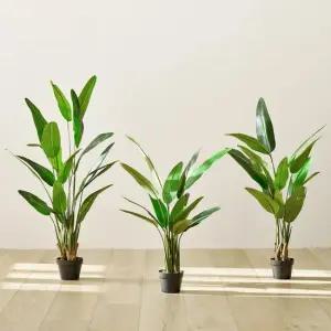 룸앤홈 리얼 바나나 조화나무