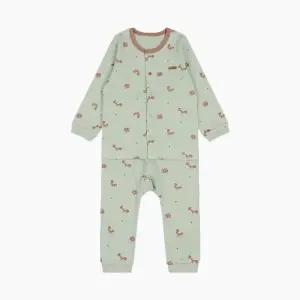 HC11 토모 내의 HZ510314 (30490070)