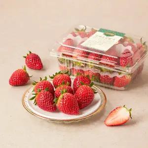 김제 금실 딸기 (대) 500g 팩