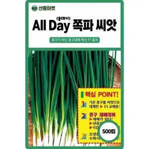 산들마켓 올데이 쪽파씨앗 500립 종구 대체 연중재배 가능 숙기 빠른 조생종 F1 고급 쪽파씨 종자
