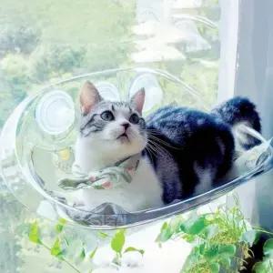 고품질 고양이 창문 해먹 투명 캣타워 숨숨집해먹 고양이창문해먹 (WFK13E8)