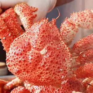 한농식 자연산 스노우 레드크랩 해산물