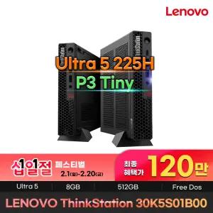 ThinkStation P3 Tiny Gen2 30K5S01B00 120만구매 인텔 울트라5 225 8GB NVMe512GB 워크스테이션 데스크탑PC