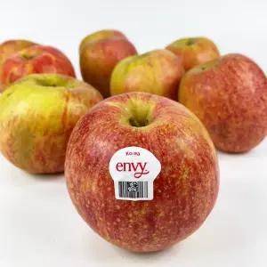 아삭하고 달콤한 엔비사과 16입 (꼬마과3kg내외)