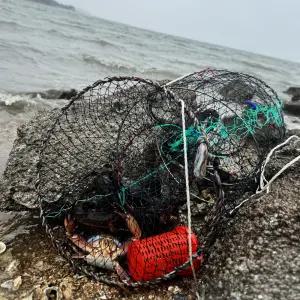 리드피싱 용왕님 어복 바다통발 올인원 3종세트 통발+미끼통+로프10m