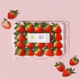 유명산지 설향 딸기 500g 팩