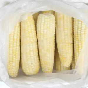 바로먹는 백찰찐옥수수x20개입(왕특대15-18cm이상)