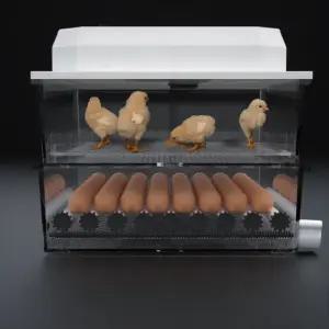 그린부화기 자동 자동 메추리 작은 인큐베이터 키우기