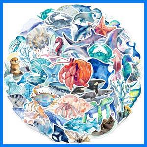 10/25/50pcs DIY 편지지 가방 물병 전화 노트북 스케이트 보드 Scrapbooking에 대 한 미적 혼합 바다 생활