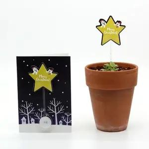 씨앗카드 디자인 선물 크리스마스 크리스마스씨드스틱 (WFJ736O)