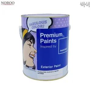 팬톤 외부용 무광 수성 페인트 백색 4L 2종 택1 (WFK4B8C)