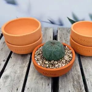 TC 이랑 국내산 수제토분 A18 2개세트-핸드메이드 화분 (WFJ702N)