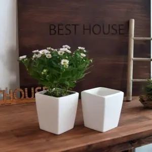 ksr 더플라워포터리 퓨어화이트 토분 사각형 (8.5x10cm) (WFJ7PIR)