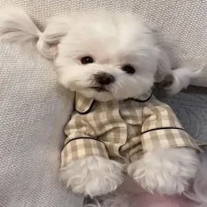 체크 강아지여름옷 롤업 파자마 잠옷 강아지옷 (WFJSR6W)