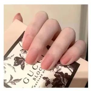 파머 24p PD-213 페디네일팁 네일스티커 (WFK9XNT)