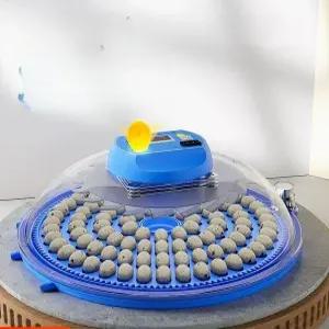 계란 메추리 인큐베이터 스마트 부화기 자동 단일 배터리