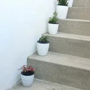 P1 원형 자동급수 저면관수 화분 소형