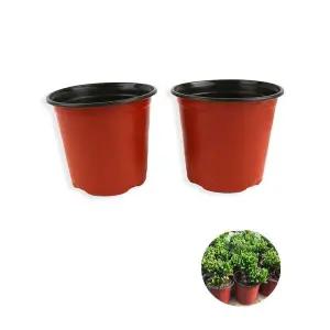 SFW 원형 모종화분 중형