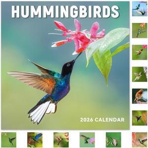 2026년 달력 - 12개월 월 1월 12월, 대형 블록, 사무실 학교 홈 조직 및 계획을 위한 벽, 12인치 x 24인치(오픈) 벌새