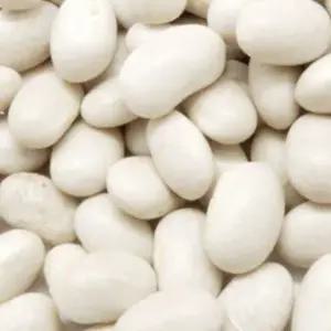 곡물종자 곡물품종 600g 흰색강낭콩종자 600g채소씨앗 (WFKBY5A)