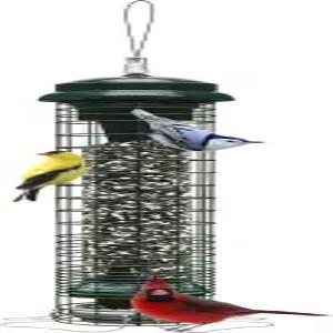 브롬 다람쥐 솔루션 150 야생 조류 방지 새 모이통 u2013 스테인리스 스틸 농어 4마리 씨앗 용량 26파운드