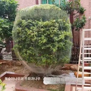 비둘기  버드스파이크 실외기  2Mx3M