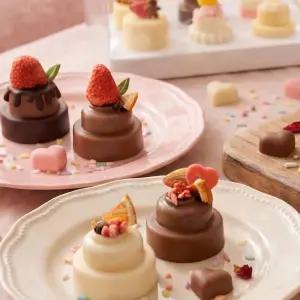 미니케이크 초콜릿만들기세트 발렌타인데이 수제 DIY 키트 재료