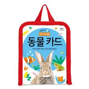브레인 카드 48장 유아 지능 개발 동물 카드
